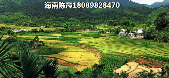 波溪丽亚湾房价
