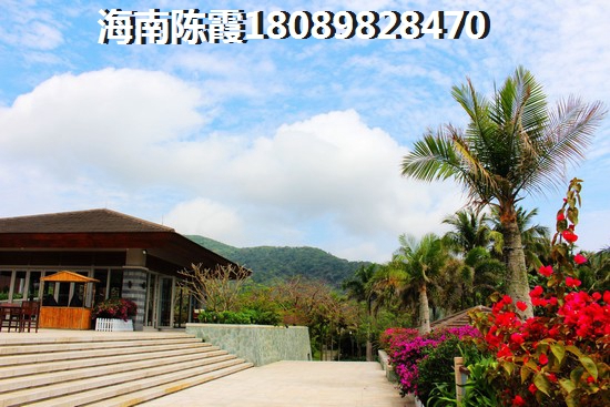 清澜半岛还能生纸吗
