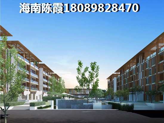 海南全域XG政策