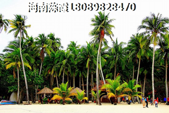 >2020宇诚·椰风浪琴购房分析