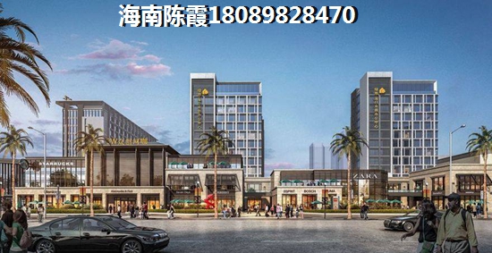 海南全域XG政策