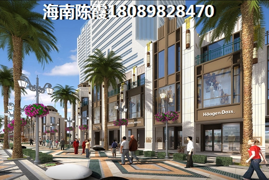 2021文昌买房养老攻略