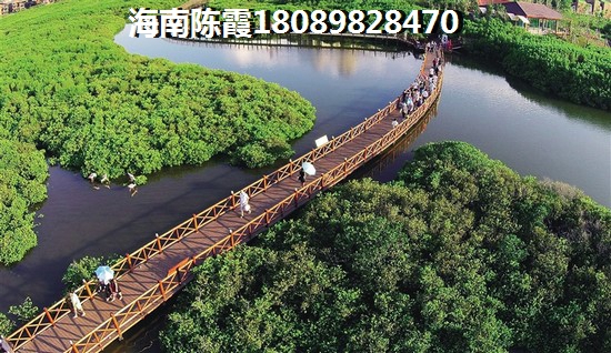 海南左城右海楼盘优势不足讲解