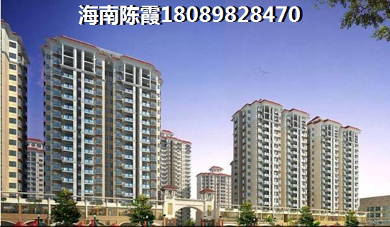 “候鸟”到高隆湾过冬哪里适合？
