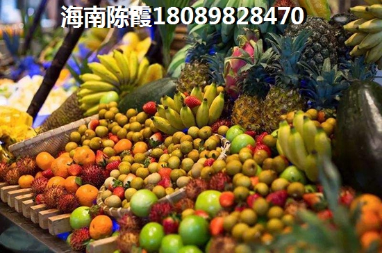 迈陈·海悦阁买房需要什么条件？