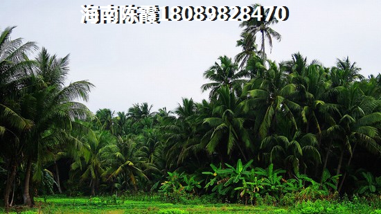 文昌高隆湾买房哪里性价比高？海南房子是否有touzi价纸了？
