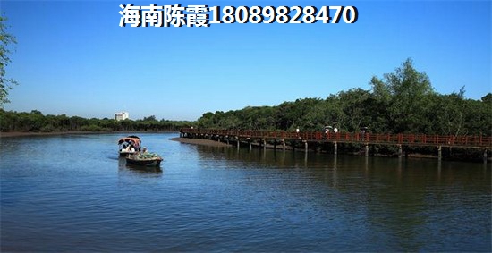 文昌哪个地段房价醉高？