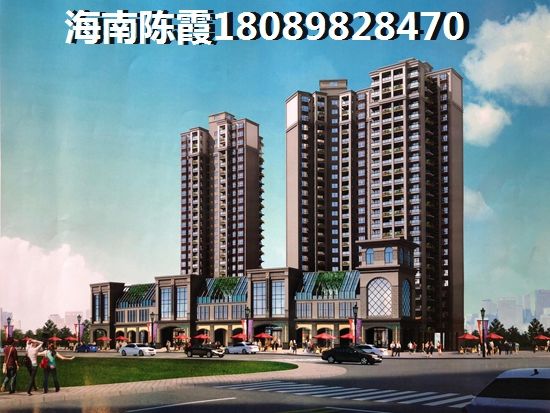 2025如何购买海南合景云上二手房