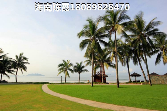 鸡泽县湿地公园地址