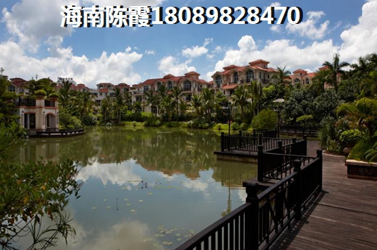 黑玉髓产地