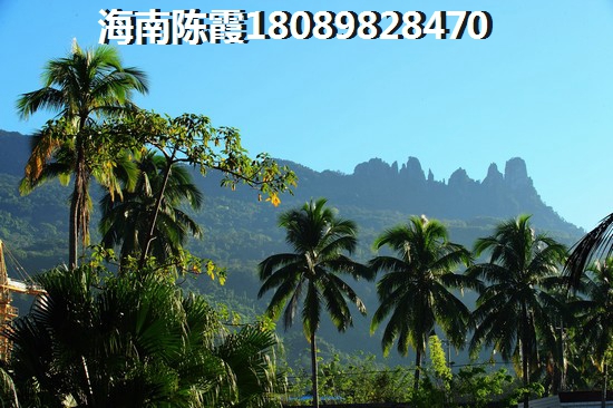 在海口江东新区买房,除了规划还有什么?
