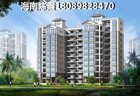 放开歌曲 放开歌曲