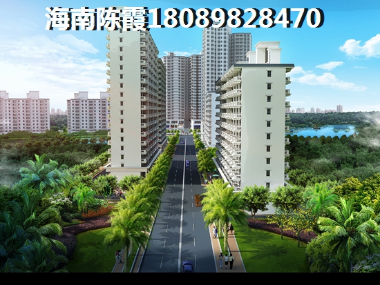 小米10至尊纪念版：探索极致性能，满足专业级存储需求！
