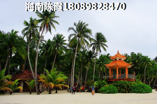 文昌海岸明苑为何被誉为未来之城？其发展前景是否真的光明？