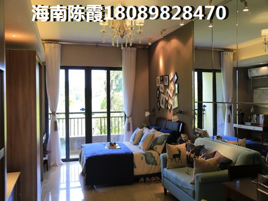 电视tv版是什么意思